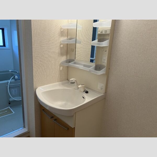 洗面所 (洗髪洗面化粧台)
