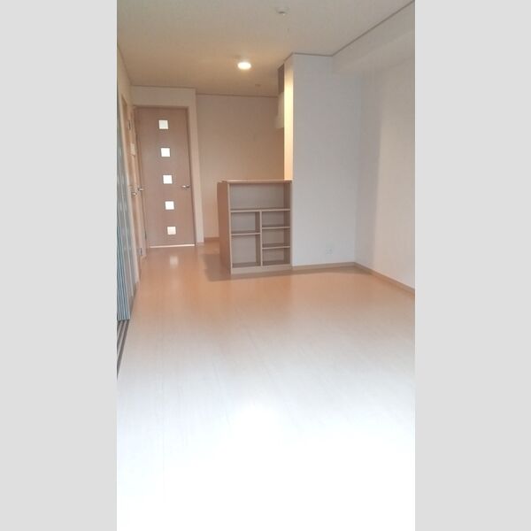 居室・リビング (LDK)