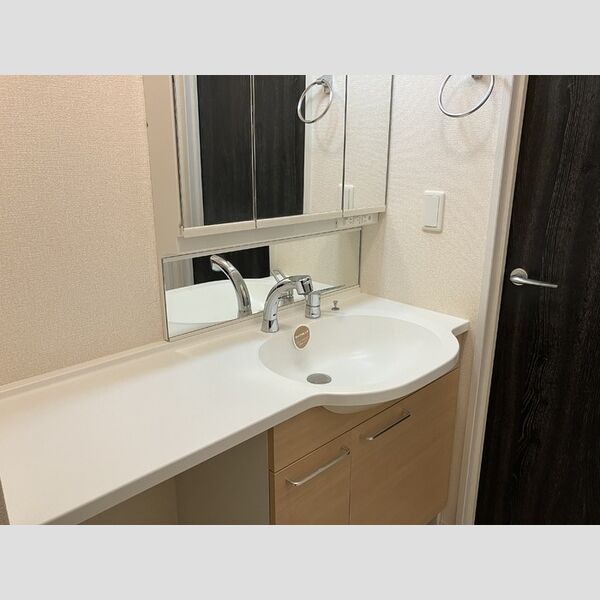 洗面所 (洗髪洗面化粧台)