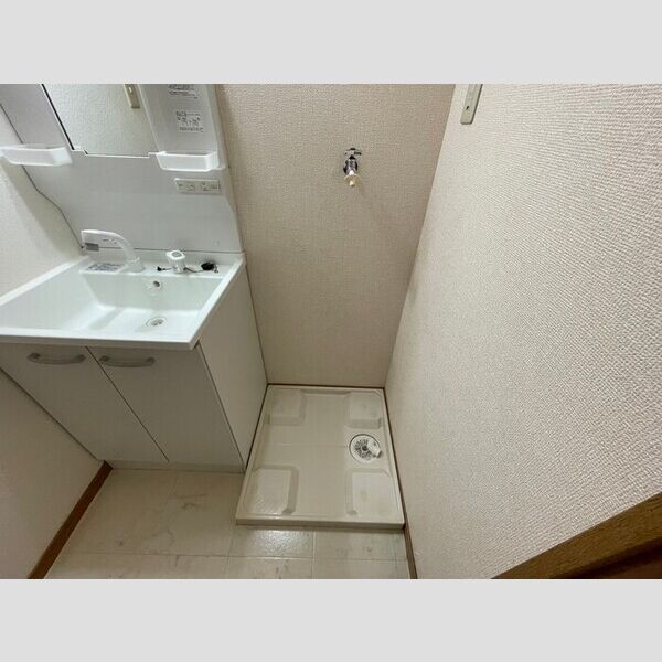 洗面所 (室内洗濯機置場)
