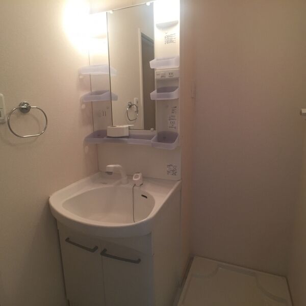 洗面所 (洗髪洗面化粧台)