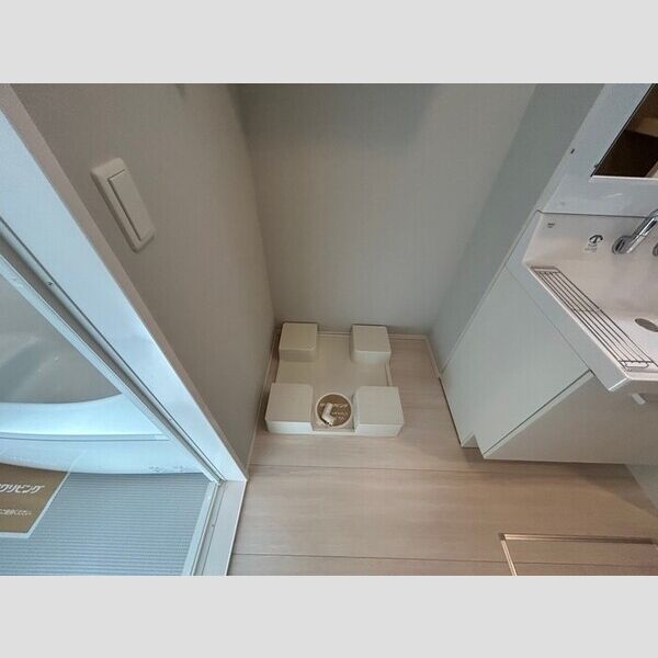 洗面所 (室内洗濯機置場)