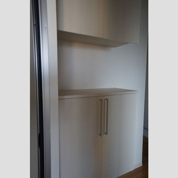 玄関 (シューズボックス(吊り戸))