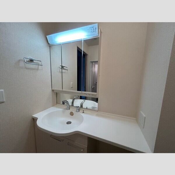 洗面所 (洗髪洗面化粧台)