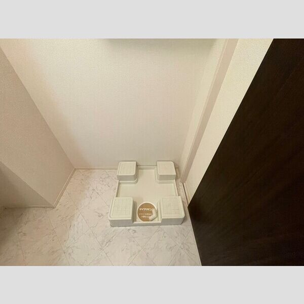 洗面所 (室内洗濯機置場)