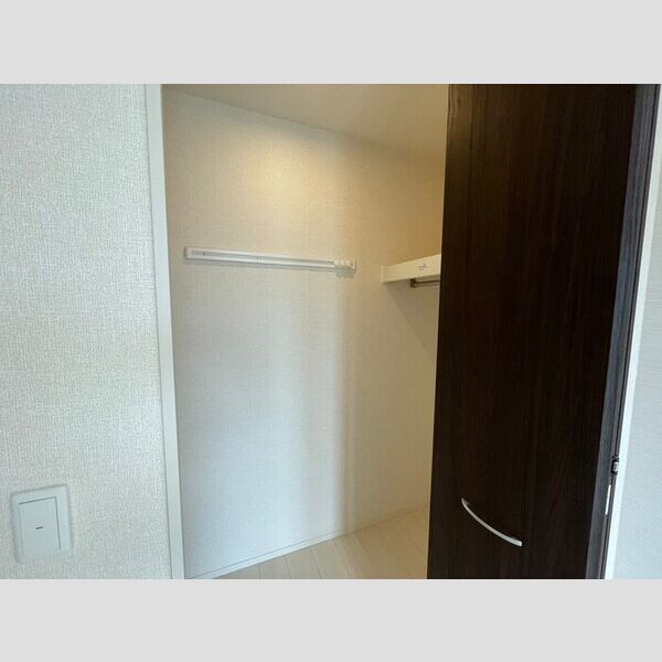 収納 (ウォークインクローゼット(LDK))