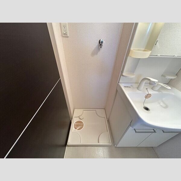 洗面所 (室内洗濯機置場)