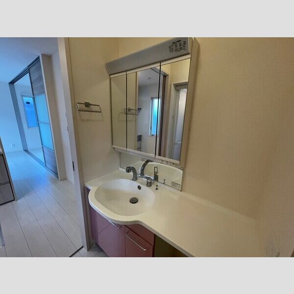 洗面所 (洗髪洗面化粧台)