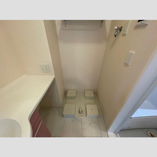 洗面所 (室内洗濯機置場)