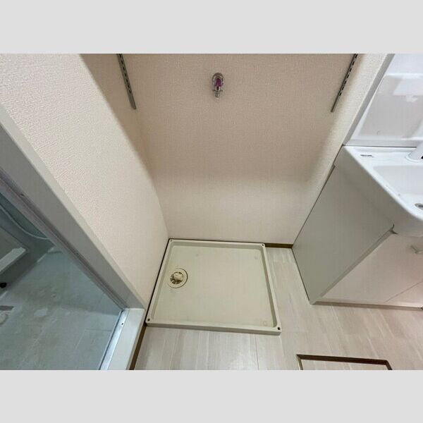 洗面所 (室内洗濯機置場)