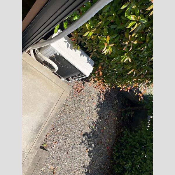 その他 (専用庭)