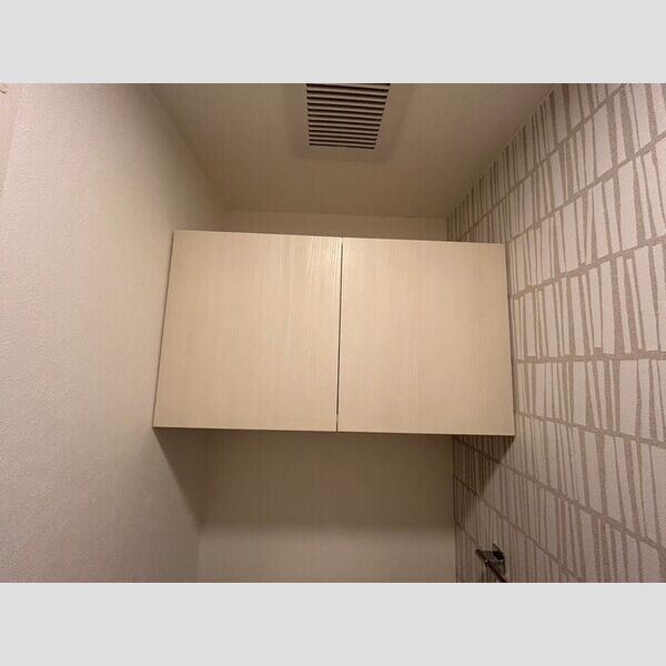 収納 (トイレ収納)