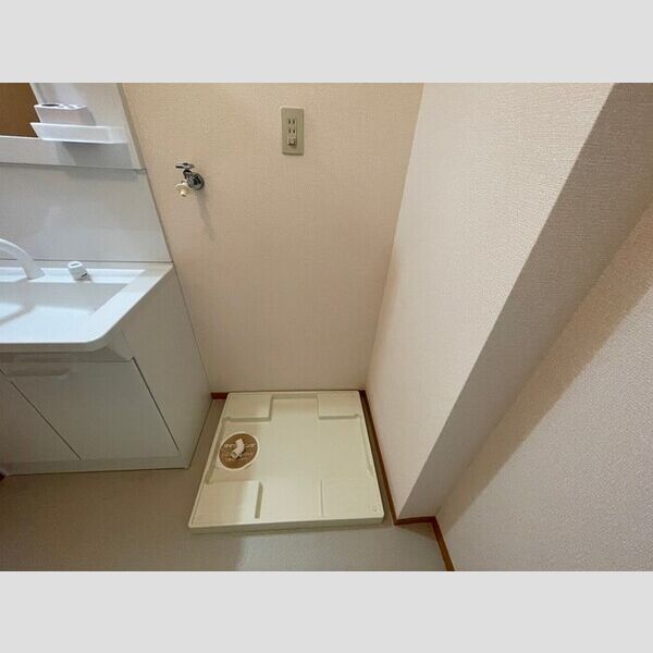 洗面所 (室内洗濯機置場)
