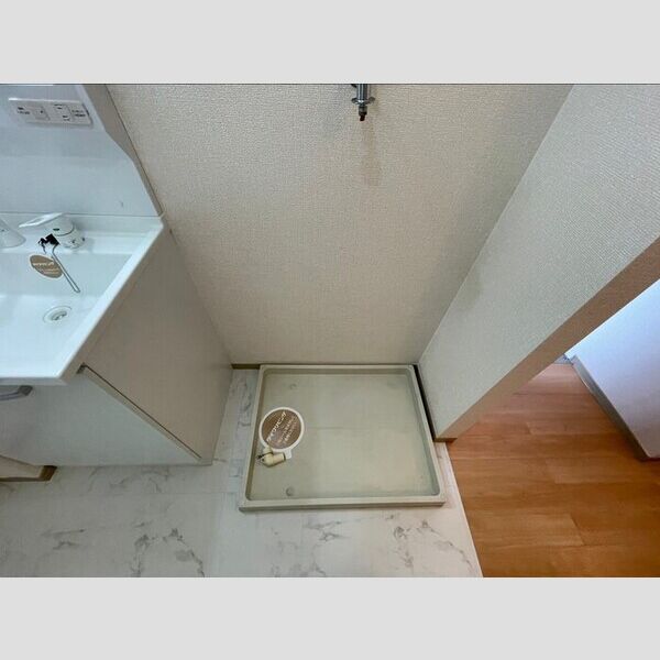 洗面所 (室内洗濯機置場)