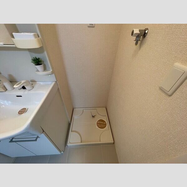 洗面所 (室内洗濯機置場)