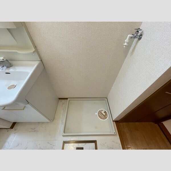 洗面所 (室内洗濯機置場)