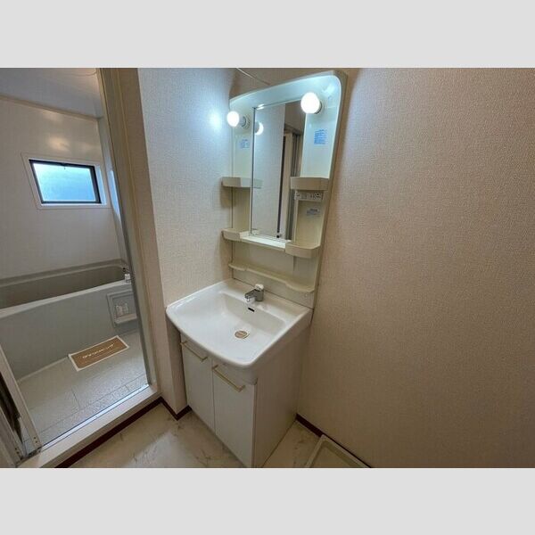 洗面所 (独立洗面台)