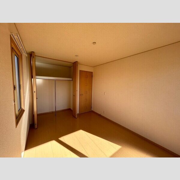 その他 (南西洋室)