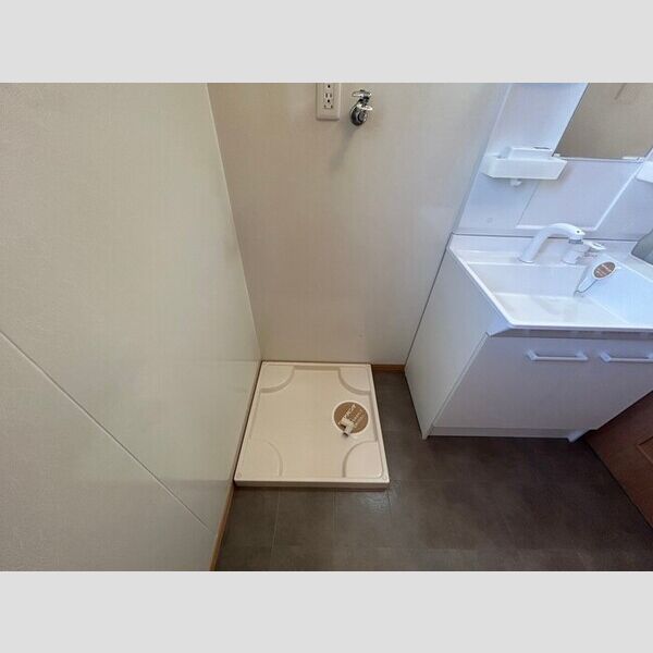 洗面所 (室内洗濯機置場)