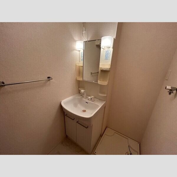 洗面所 (洗髪洗面化粧台)