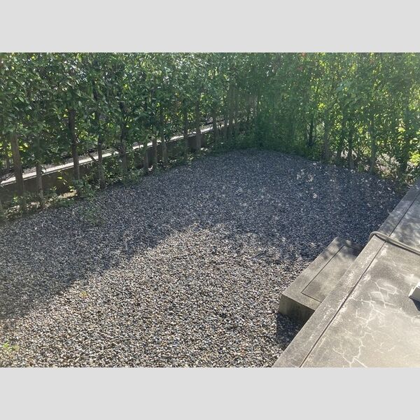 その他 (専用庭)