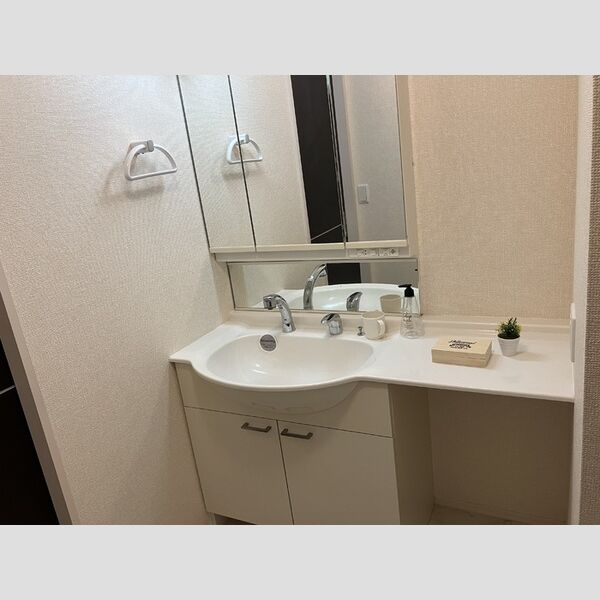 洗面所 (洗髪洗面化粧台)
