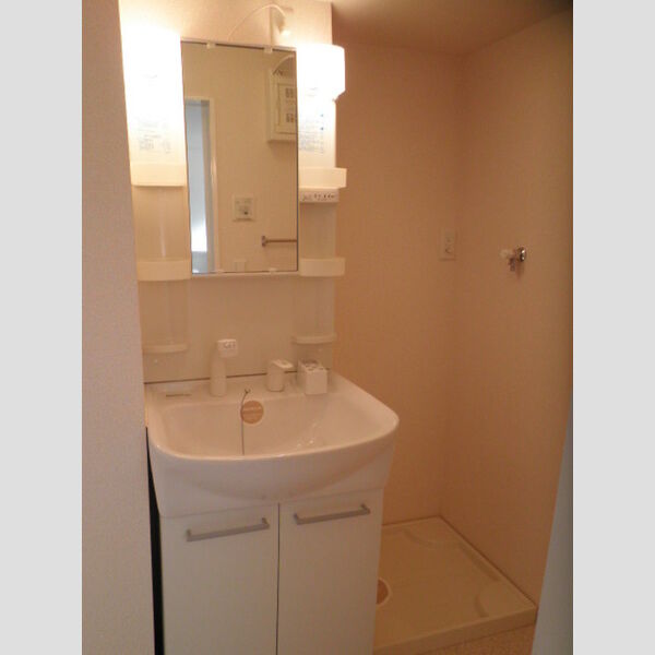 洗面所 (洗髪洗面化粧台、室内洗濯機置場)