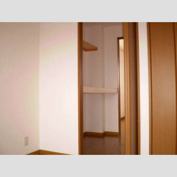 収納 (ウォークスルークローゼット)