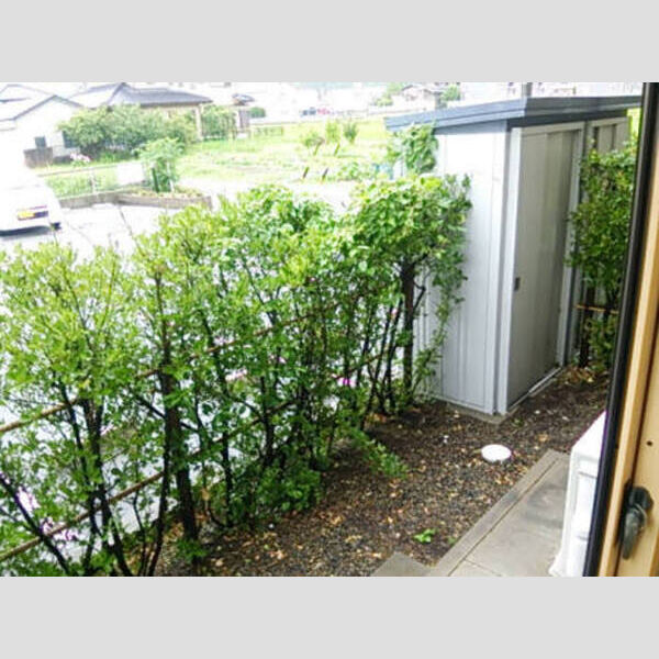 その他 (専用庭、物置)