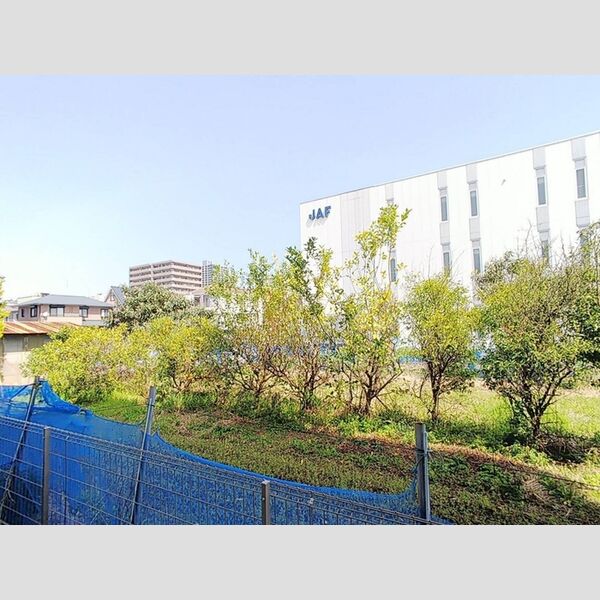 現地周辺 (眺望)