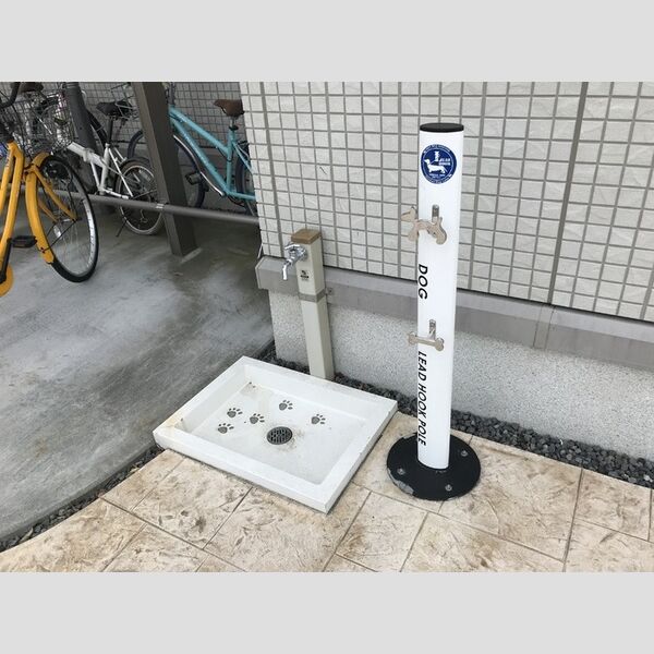 現地周辺 (ペット足洗い場)