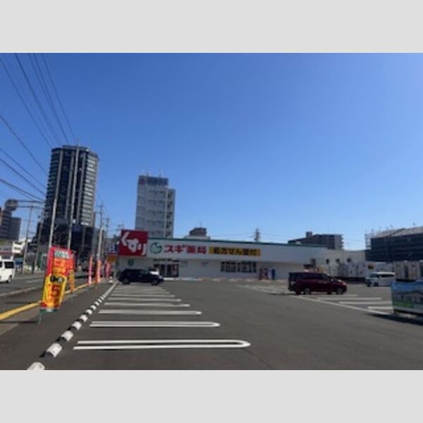 現地周辺 (スギドラッグ　東静岡店)