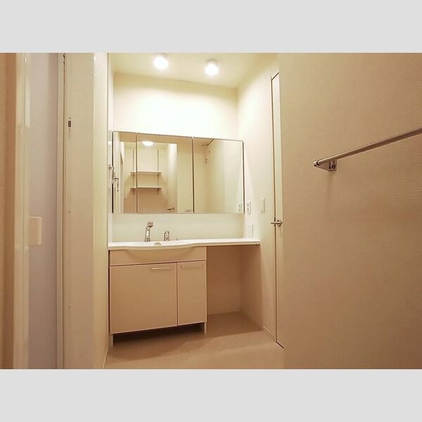 洗面所 (洗髪洗面化粧台)