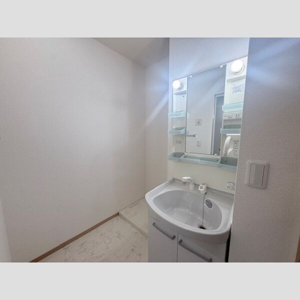 洗面所 (室内洗濯機置き場　洗髪洗面化粧台)