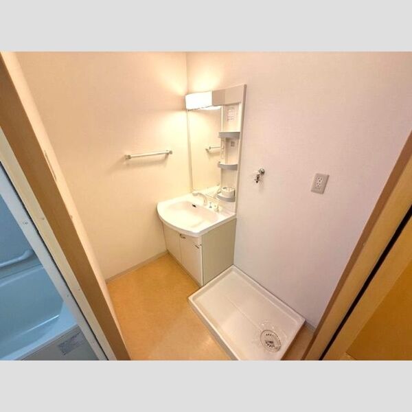 洗面所 (洗髪洗面化粧台　室内洗濯機置き場)