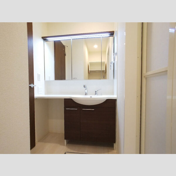 洗面所 (洗髪洗面化粧台)