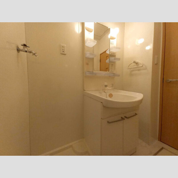 洗面所 (洗髪洗面化粧台)