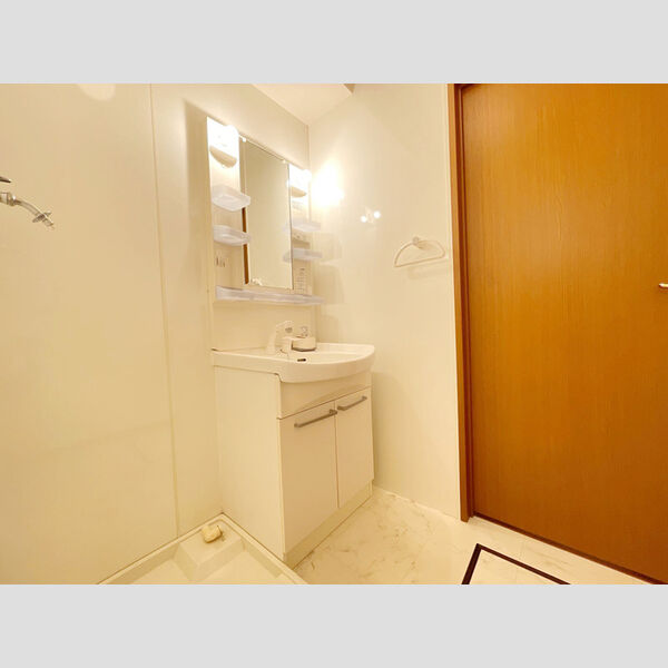 洗面所 (洗髪洗面化粧台)