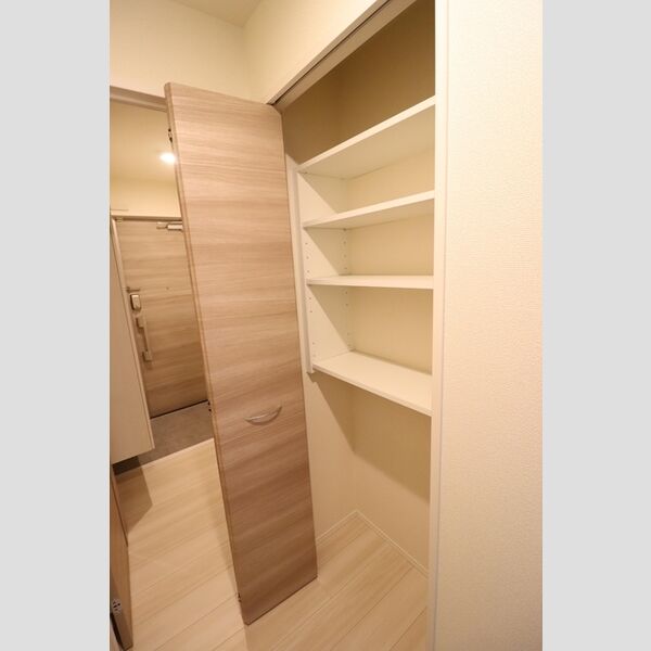 収納 (廊下収納)