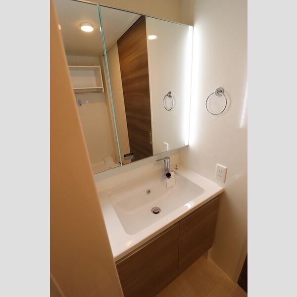 洗面所 (洗髪洗面化粧台)