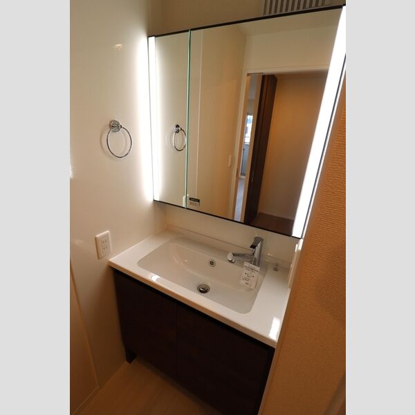 洗面所 (洗髪洗面化粧台)