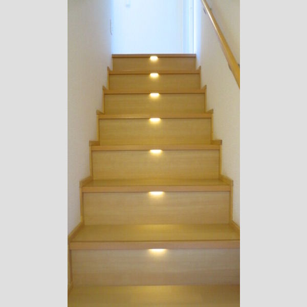 玄関 (明かり付き　階段)