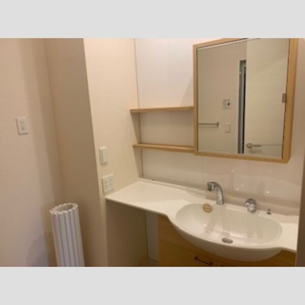 洗面所 (幅1200mmのワイド洗面化粧台です。鏡の中も収納になっています。)