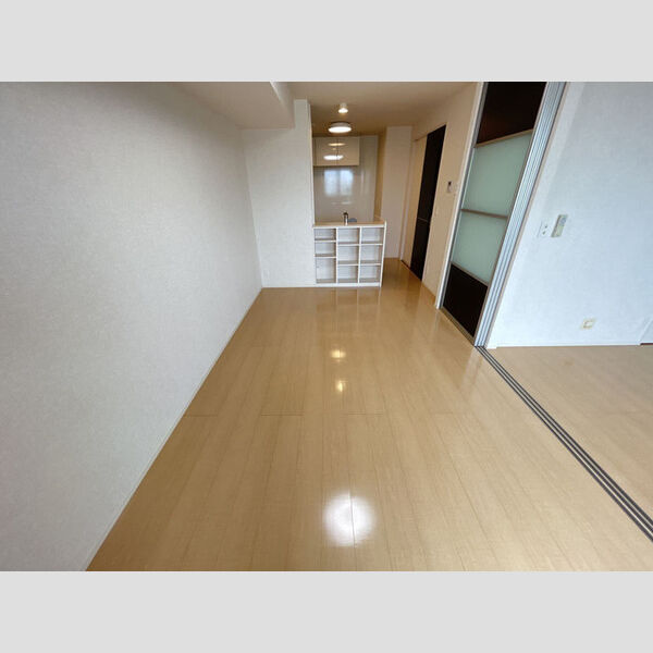 居室・リビング (LDK)