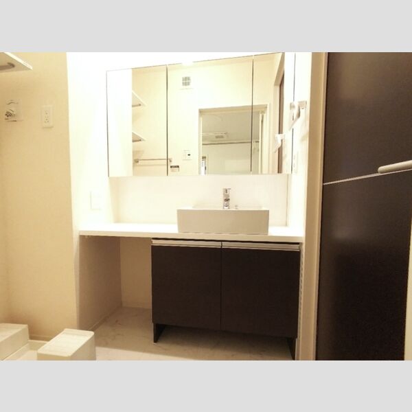 洗面所 (洗髪洗面化粧台)