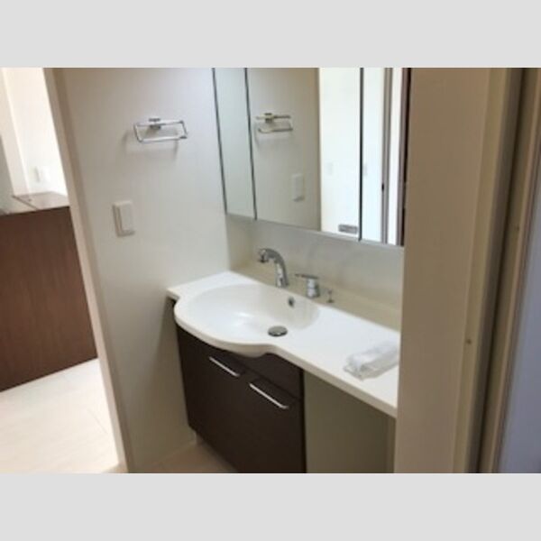 収納 (洗髪洗面化粧台)