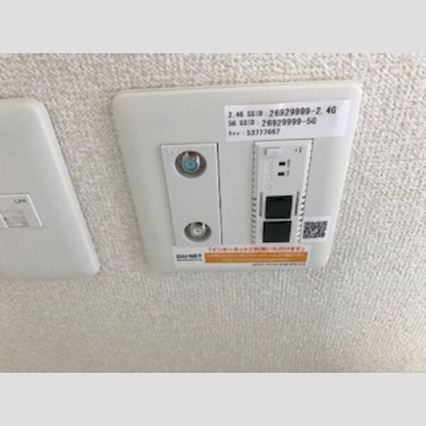 バス (インターネット常時接続)