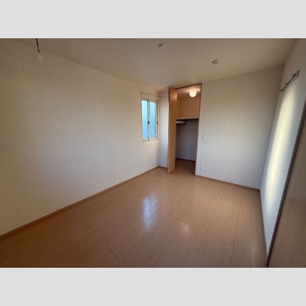 その他 (南西洋室)