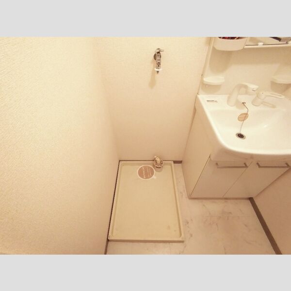 その他 (室内洗濯機置き場)