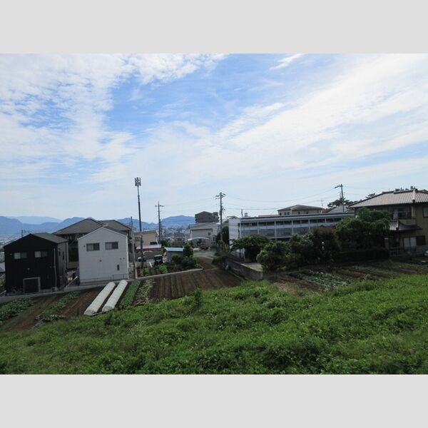 現地周辺 (眺望)